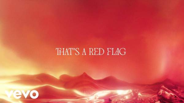 Red Flag Lyrics - Shenseea