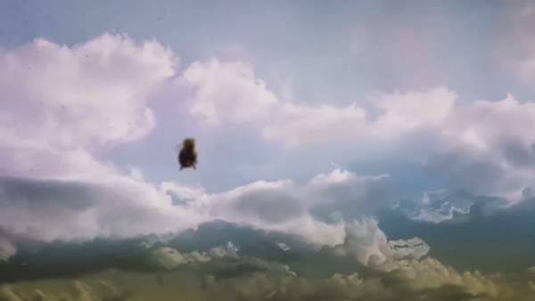 Boys Don't Crash Lyrics - Pond