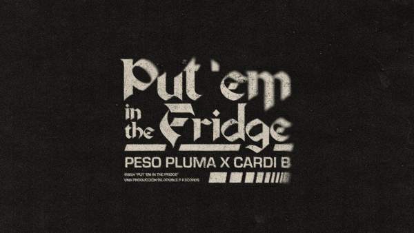 PUT EM IN THE FRIDGE LYRICS - PESO PLUMA