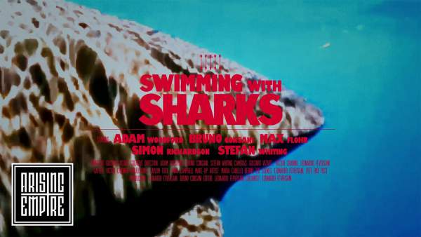 Swimming with Sharks Lyrics - Polar