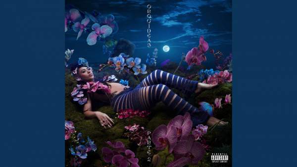 Adicto Lyrics (English Translation) - Kali Uchis