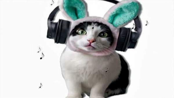 SCHOOL GIRL SASHIMI LYRICS - CHE