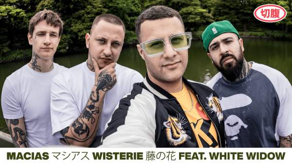 WISTERIE LYRICS (ENGLISH TRANSLATION) - MACIAS
