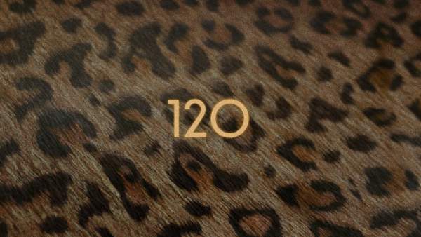 120 Lyrics - Lil Tecca