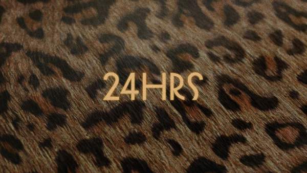 24HRS Lyrics - Lil Tecca
