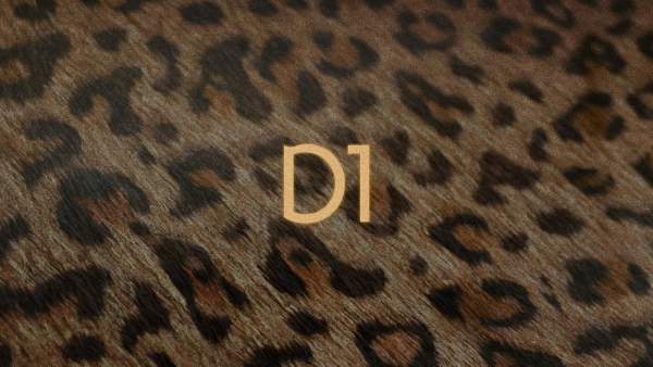 D1 Lyrics - Lil Tecca