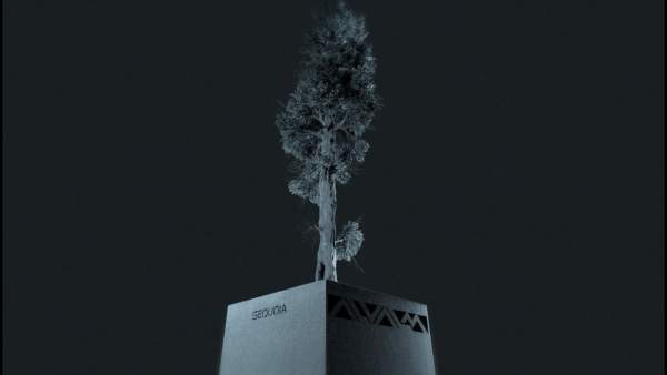 SEQUOIA LYRICS - SDM