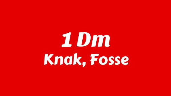 1 DM Lyrics - Knak, Fosse