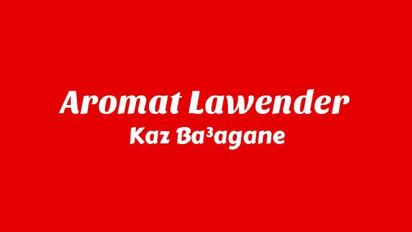 Aromat Lawender Lyrics - Kaz Bałagane
