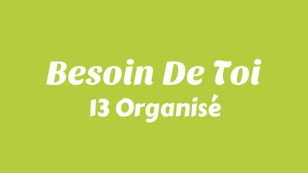 Besoin De Toi Lyrics - 13 Organisé