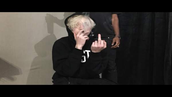 Bird Box Lyrics - Nettspend