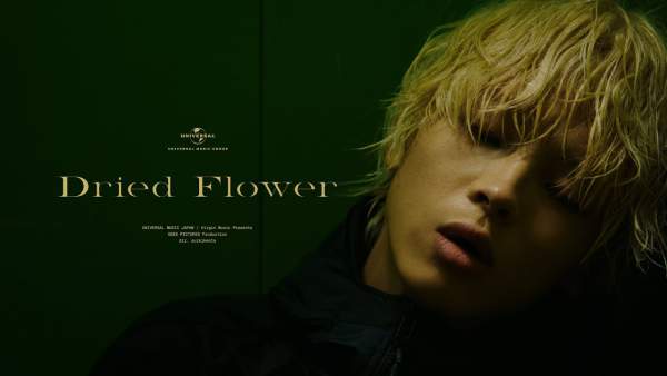 Dried Flower Lyrics - imase