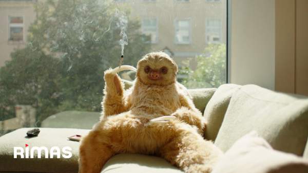 Lento Lyrics (English Translation) - Cultura Profética