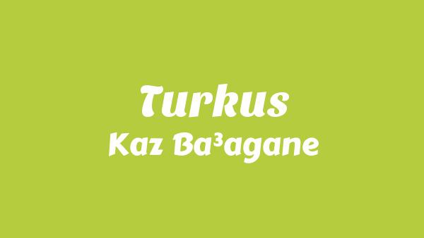 Turkus Lyrics - Kaz Bałagane