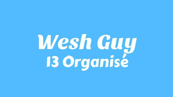 Wesh Guy Lyrics - 13 Organisé