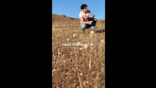 What This Could Be Lyrics - Joe Jonas