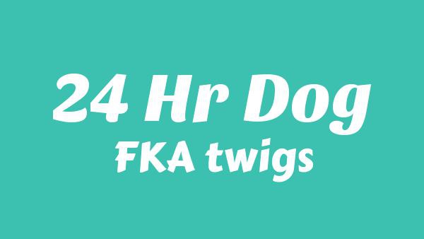 24hr Dog Lyrics - FKA twigs