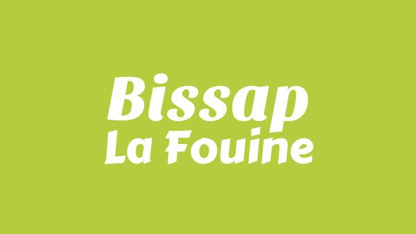 Bissap Lyrics - La Fouine