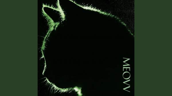 BODY Lyrics (English Translation) - MEOVV (미야오)