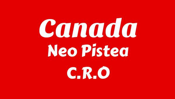 CANADA Lyrics - Neo Pistea, C.R.O, KHEA, Bhavi