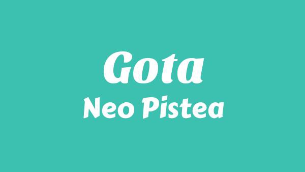 GOTA Lyrics - Neo Pistea