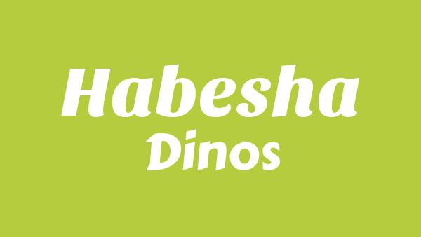HABESHA Lyrics - Dinos