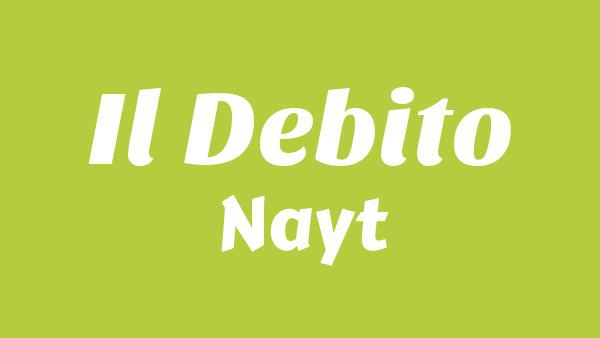 Il Debito Lyrics - Nayt