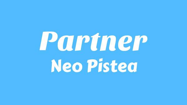PARTNER Lyrics - Neo Pistea
