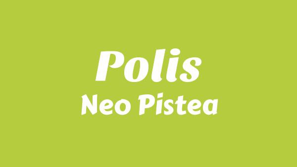POLIS Lyrics - Neo Pistea