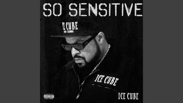 So Sensitive Lyrics - Ice Cube