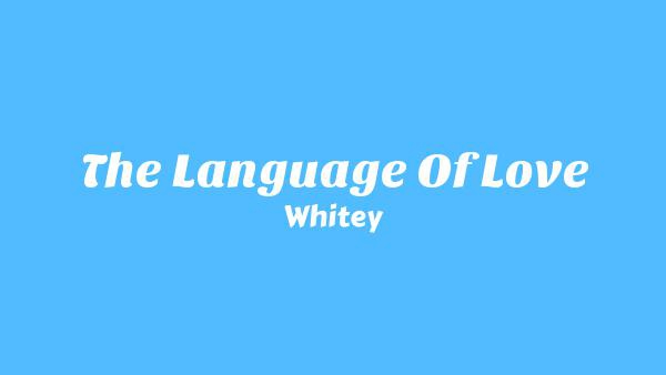 The Language of Love Lyrics - Whitey