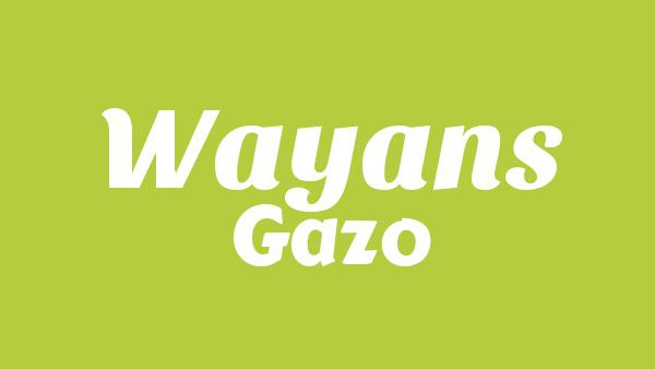WAYANS Lyrics - Gazo