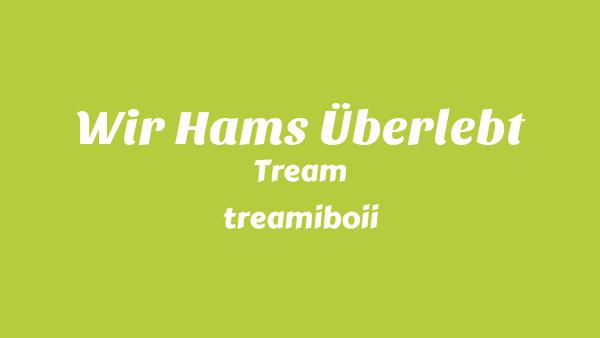 WIR HAMS ÜBERLEBT Lyrics - Tream, treamiboii