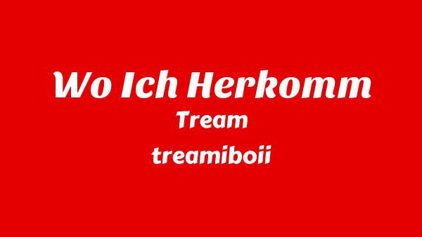 WO ICH HERKOMM Lyrics - Tream, treamiboii