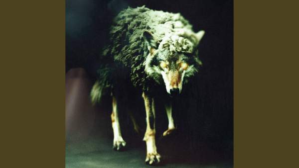 Wolf in Sheep’s Clothing [REBORN] Lyrics - Set It Off