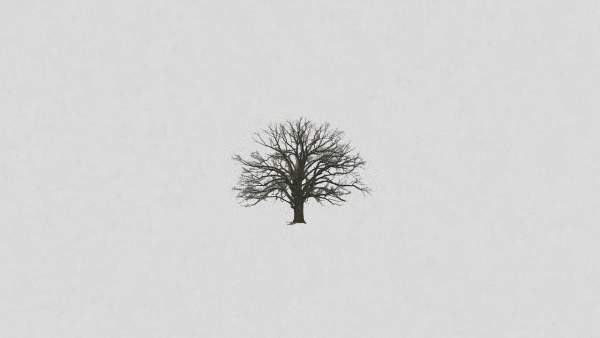 Seasons Lyrics - John Michael Howell