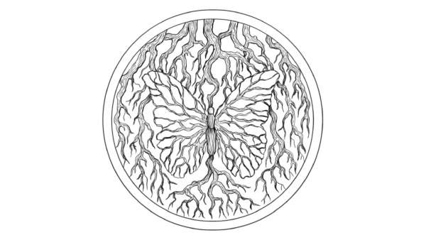 Tall Trees Lyrics - Blacklit Canopy