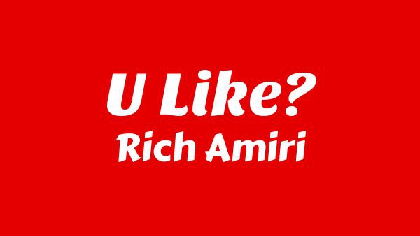 U LIKE? Lyrics - Rich Amiri