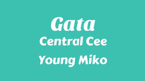 Gata Lyrics - Central Cee, Young Miko