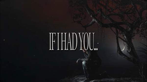 IF I HAD YOU... Lyrics - Chris Grey