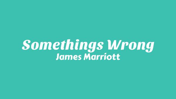 Something’s Wrong Lyrics - James Marriott
