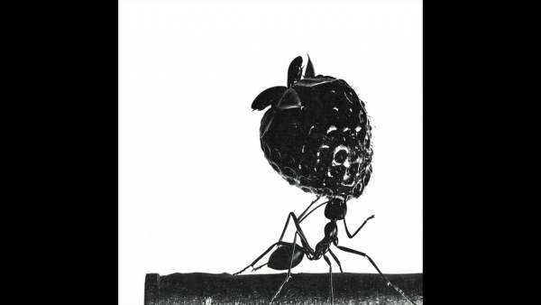 Stammi bene Lyrics - Gazzelle
