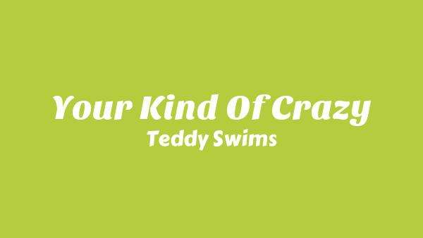 Your Kind of Crazy Lyrics - Teddy Swims