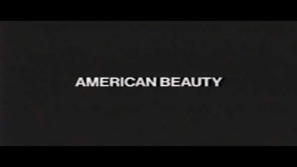 AMERICAN BEAUTY Lyrics - Nessa Barrett