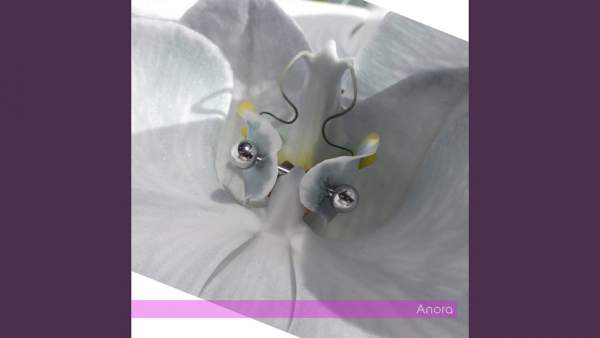 Anora Lyrics - 9mice