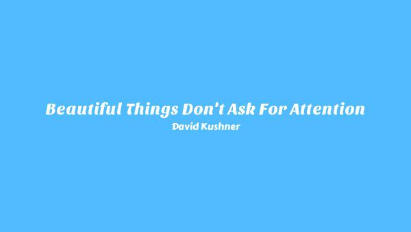 Beautiful Things Don’t Ask For Attention Lyrics - David Kushner
