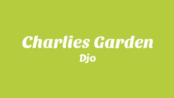Charlie’s Garden Lyrics - Djo
