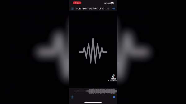 DAU TONU Lyrics - Robi
