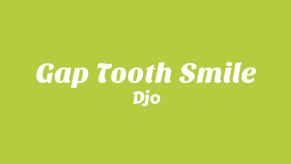 Gap Tooth Smile Lyrics - Djo