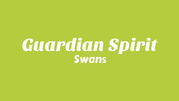 Guardian Spirit Lyrics - Swans